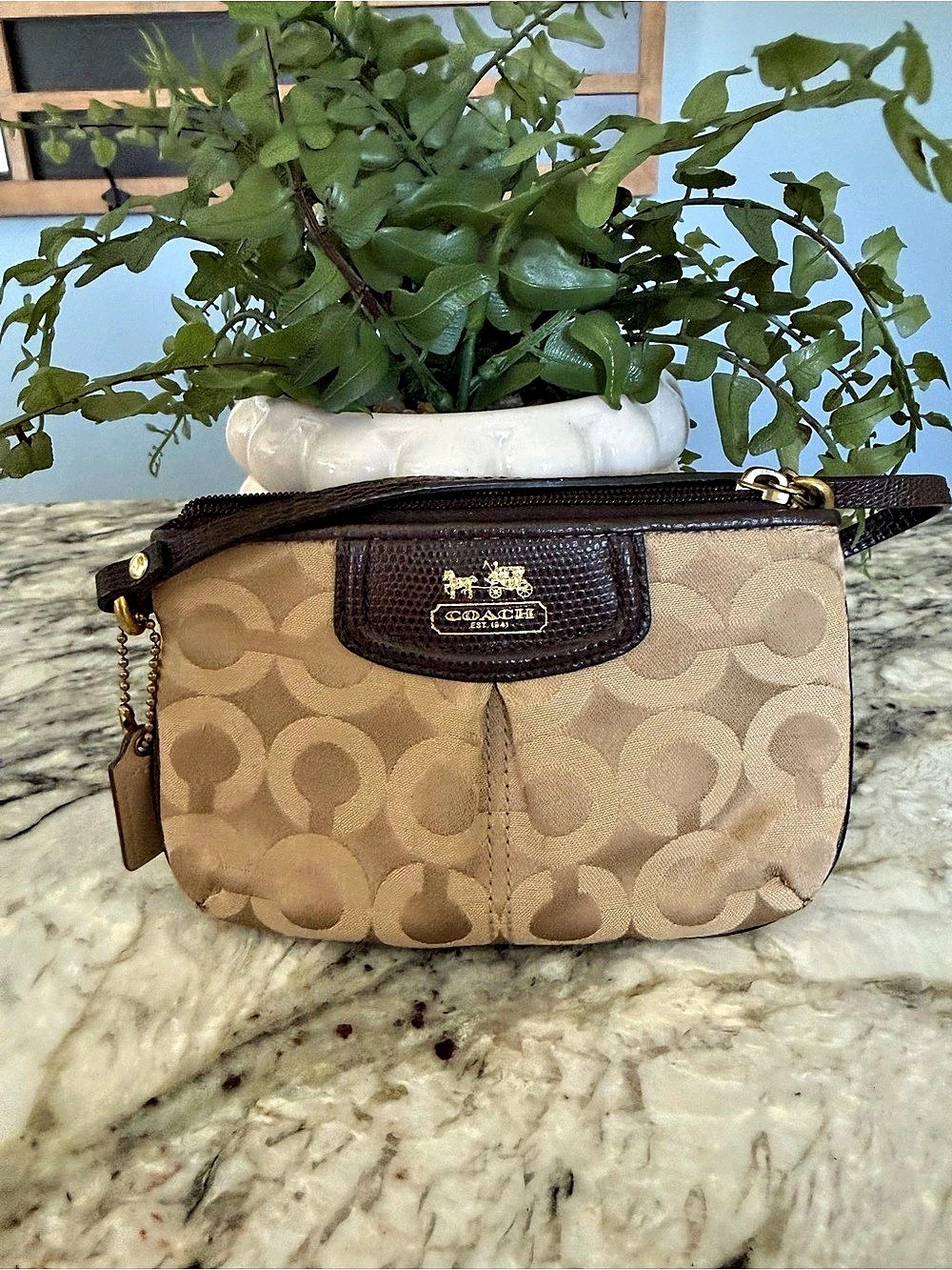 Coach Signature C Wristlet Khaki Brown Leather Trim Gold Hardware